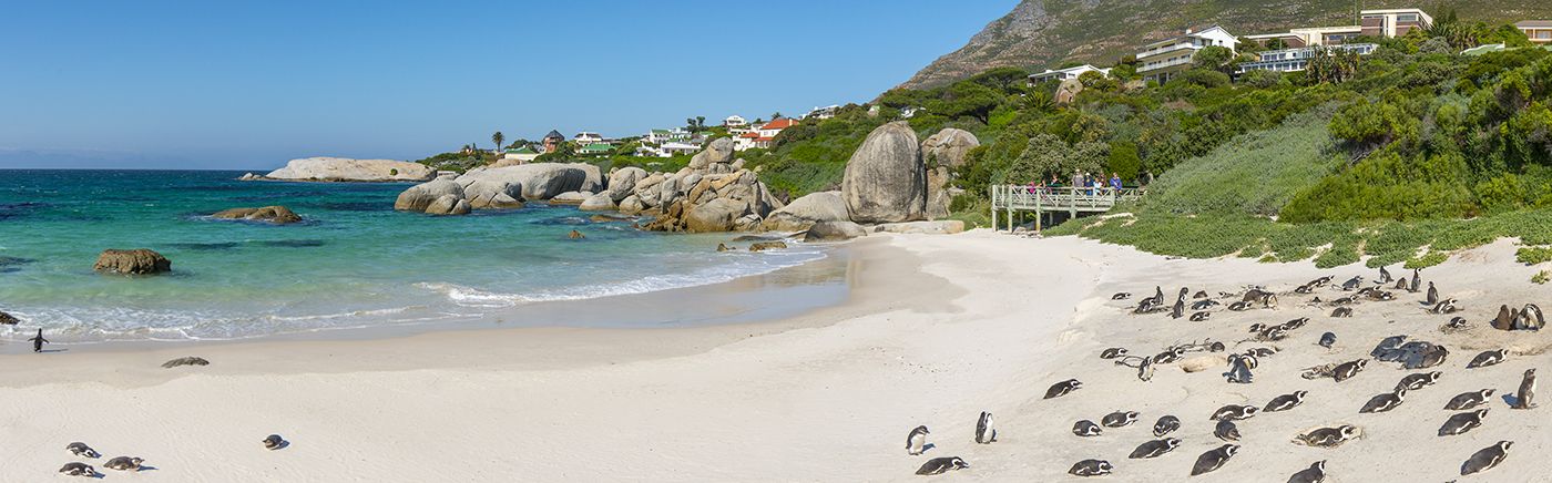 Boulders Beach