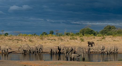 Hwange