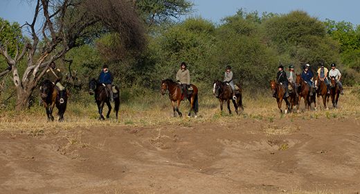 Horesback Safaris