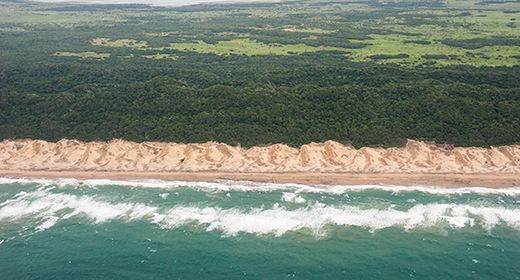 Coastal Wilderness