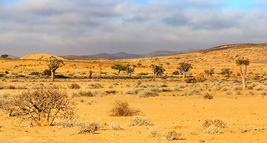 Namib-Naukluft