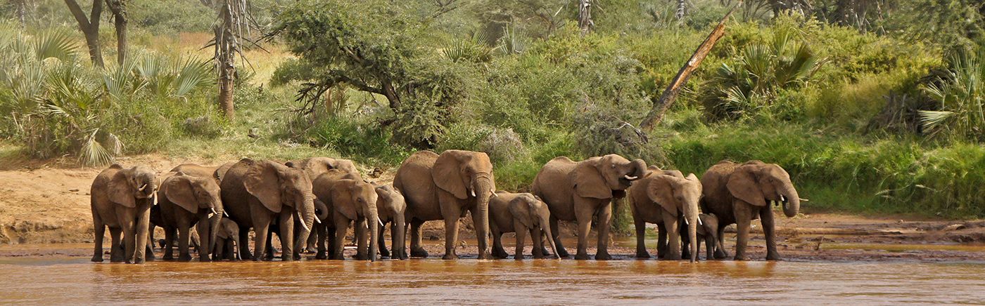 Samburu