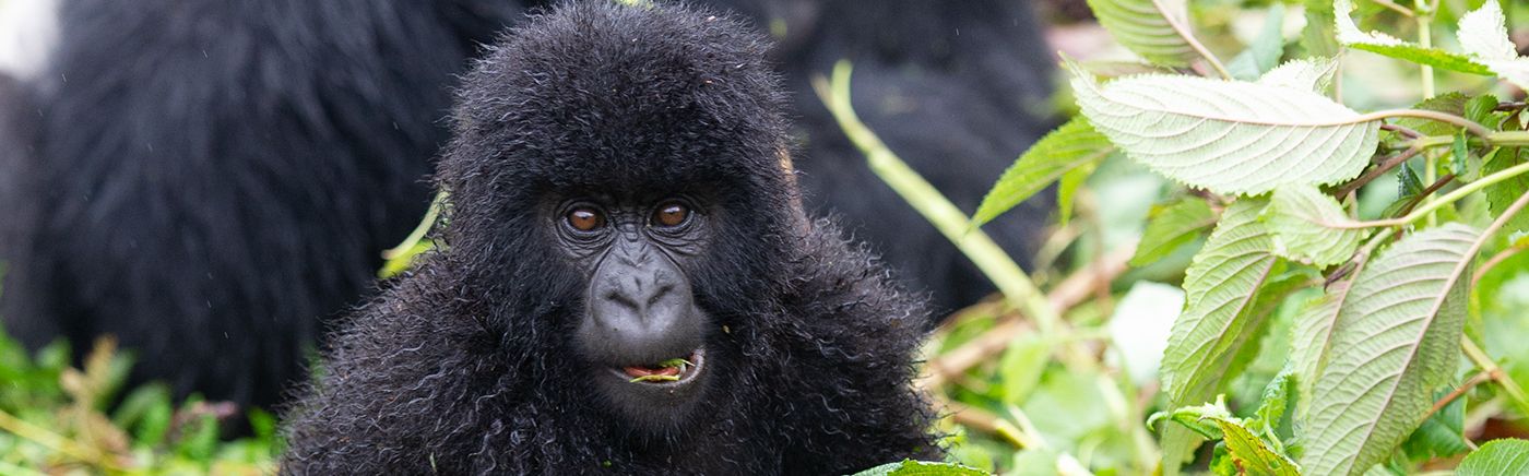 Rwanda