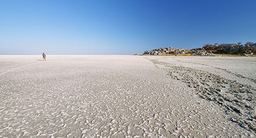 Makgadikgadi