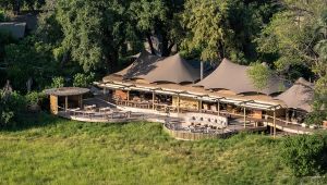 Mombo Camp