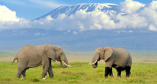 Amboseli