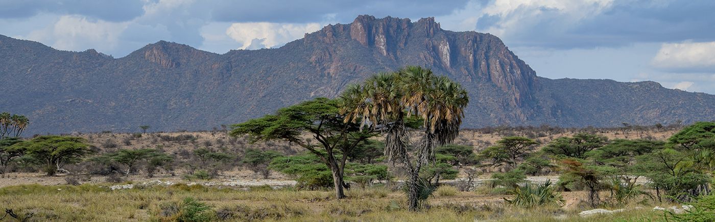 Shaba National Reserve