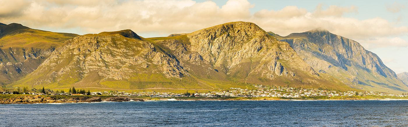 Hermanus