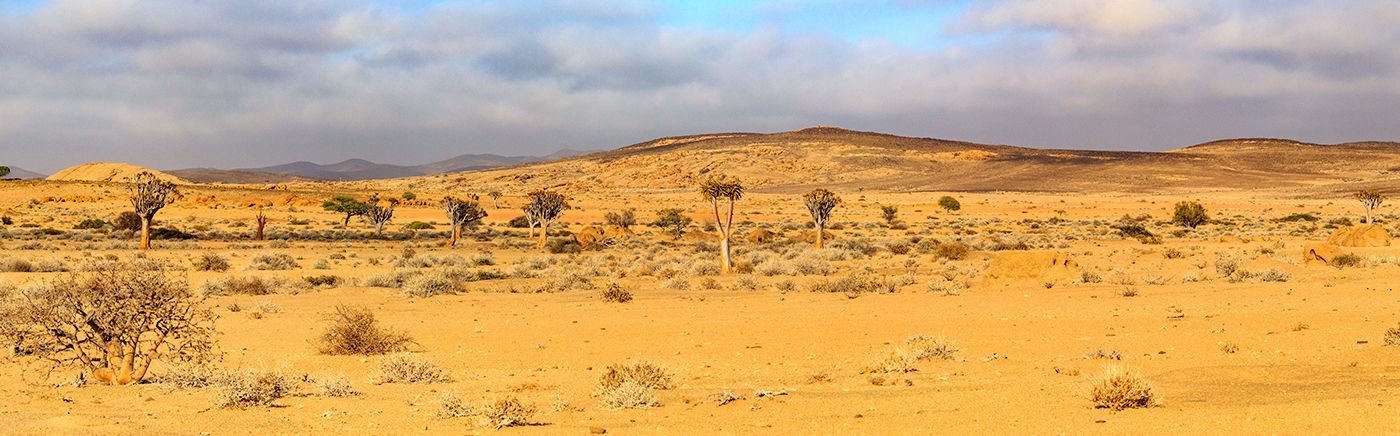 Namib-Naukluft