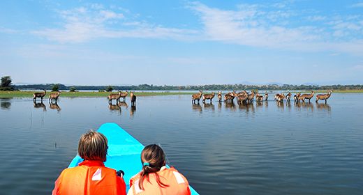 Lake Naivasha