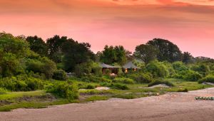 Ngala Tented Camp