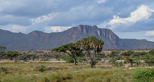 Shaba National Reserve