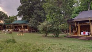 Elephant Pepper Camp