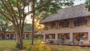 Kichwa Tembo Tented Camp