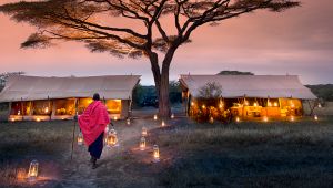 Serengeti Under Canvas