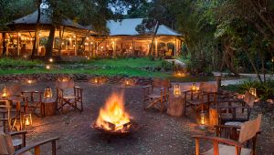Bateleur Camp