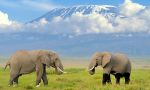 Kenya