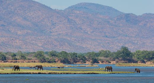 Lower Zambezi - Zambia