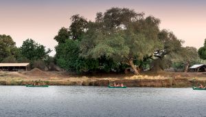 Zambezi Expeditions Camp