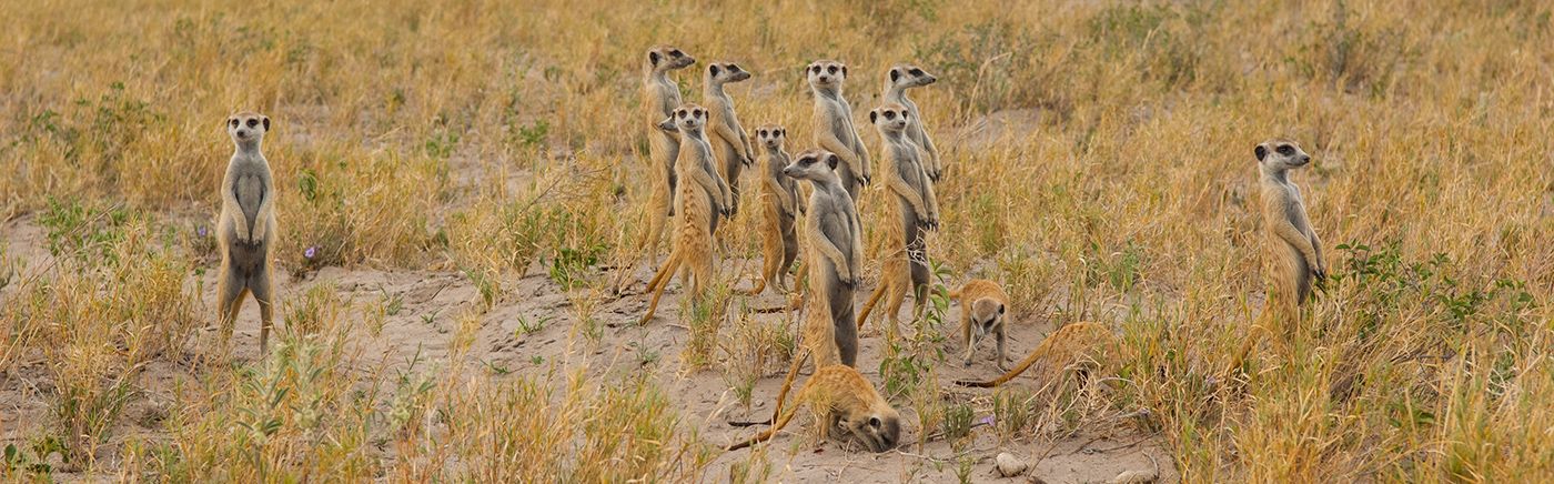 Makgadikgadi