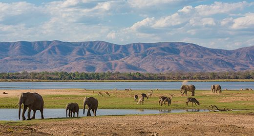 Mana Pools