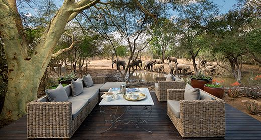rsa_ngala_lodge_banner_large.jpg