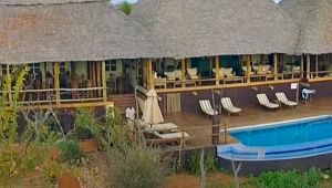 Tarangire Treetops