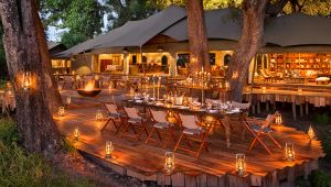 Duba Plains Camp