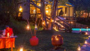 Serengeti Migration Camp