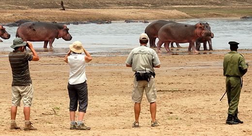 North Luangwa