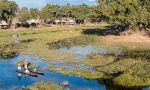 Duba Explorers Camp