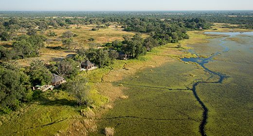 bot_vumbura_banner_large.jpg