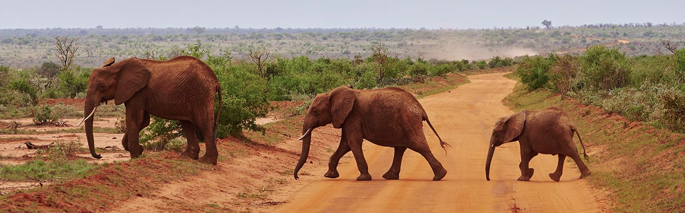 Tsavo