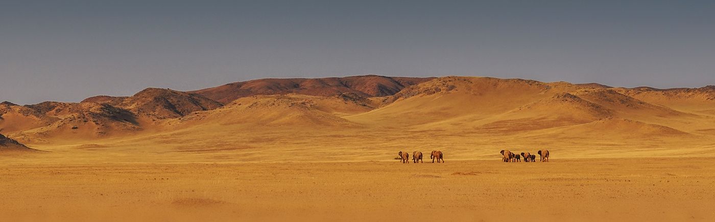 Damaraland Beauty
