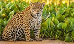 Our Latin America Destinations