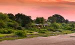 Ngala Tented Camp