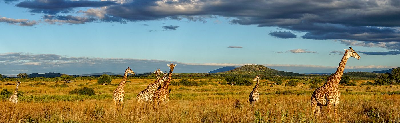 Southern Tanzania