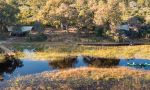 Okavango Explorers Camp