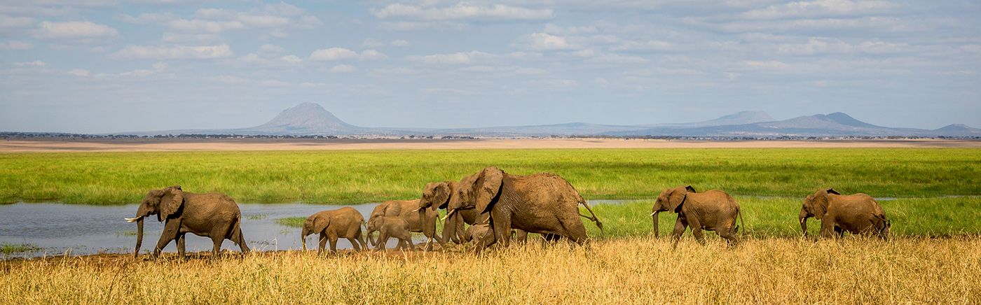 Tarangire