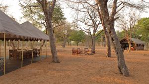Chobe Under Canvas