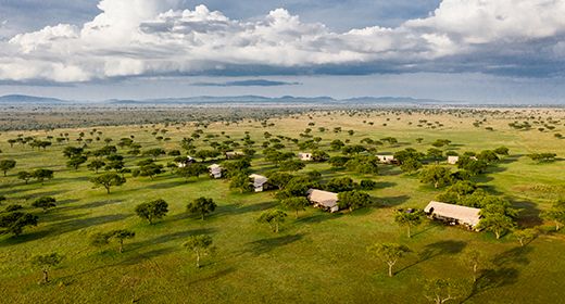 tan_singita_sabora_banner_large.jpg