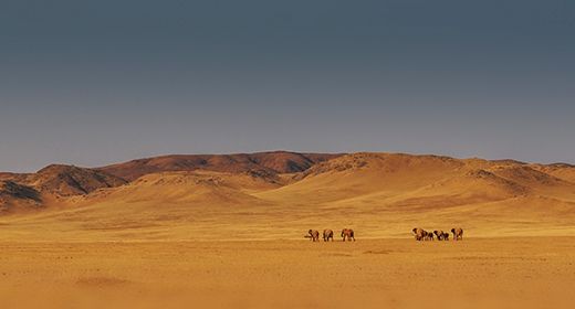 Damaraland Beauty