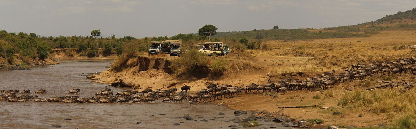 The Great Migration