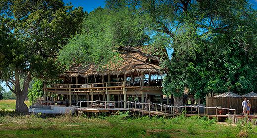 zim_nyamatusi_camp_banner_large.jpg