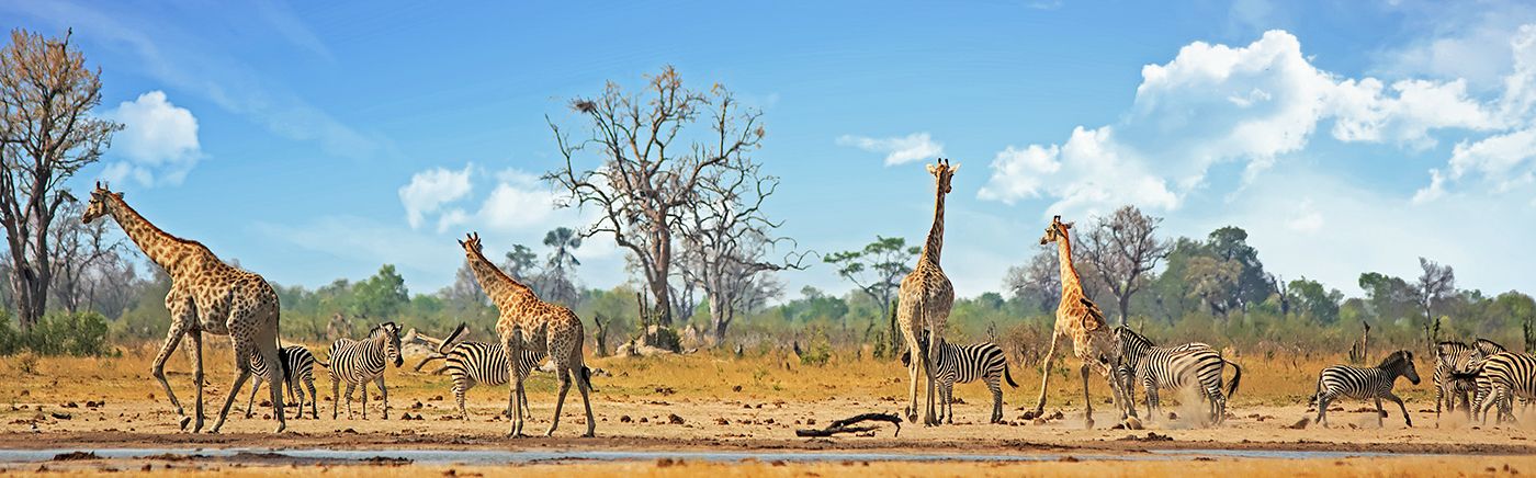 Hwange Waterholes