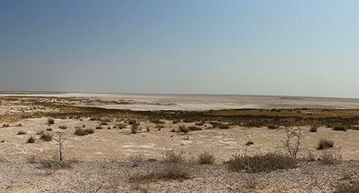 Etosha Pan