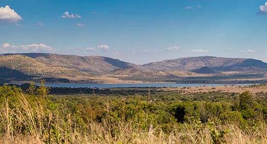 Gauteng Province