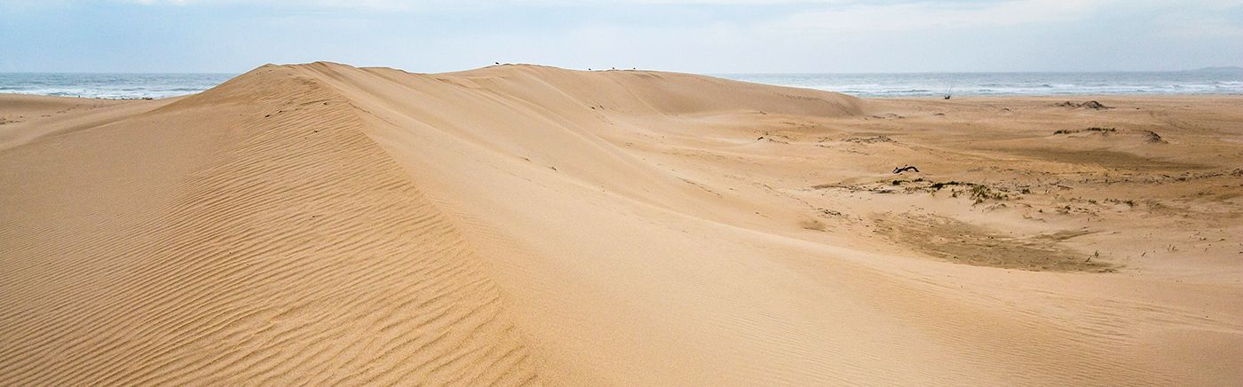 Coastal Dunes
