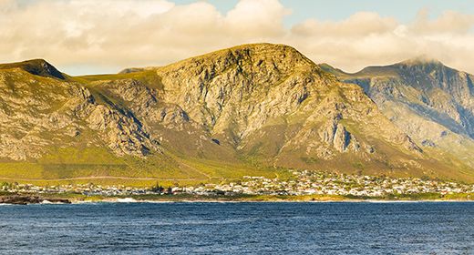 Hermanus