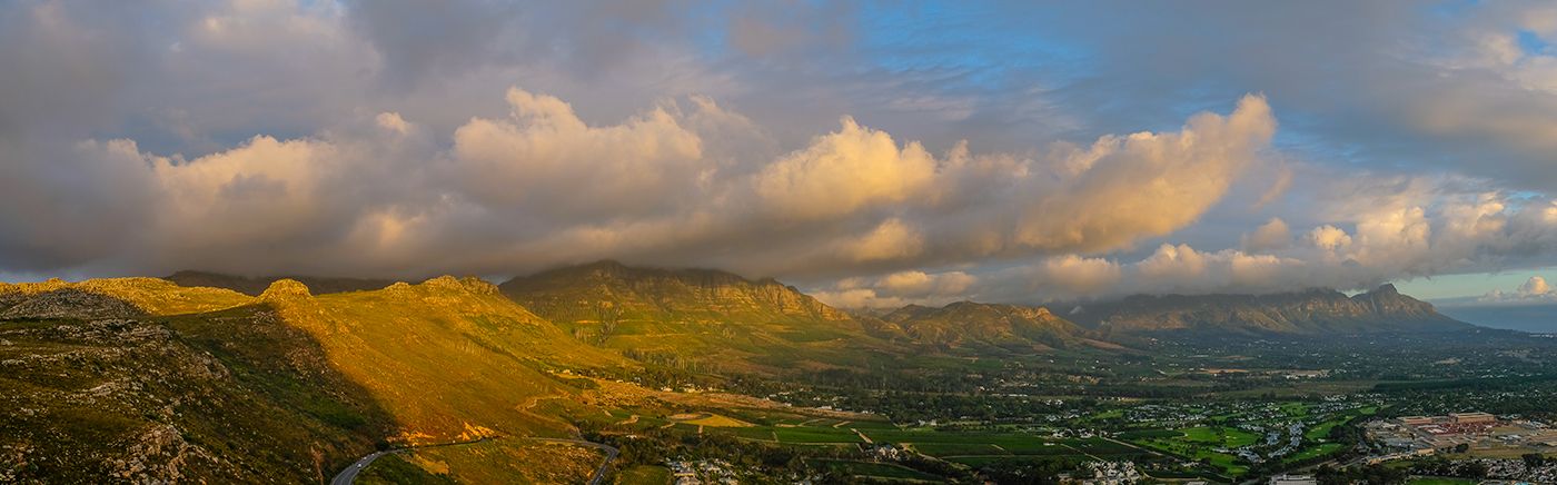 Constantia Winelands
